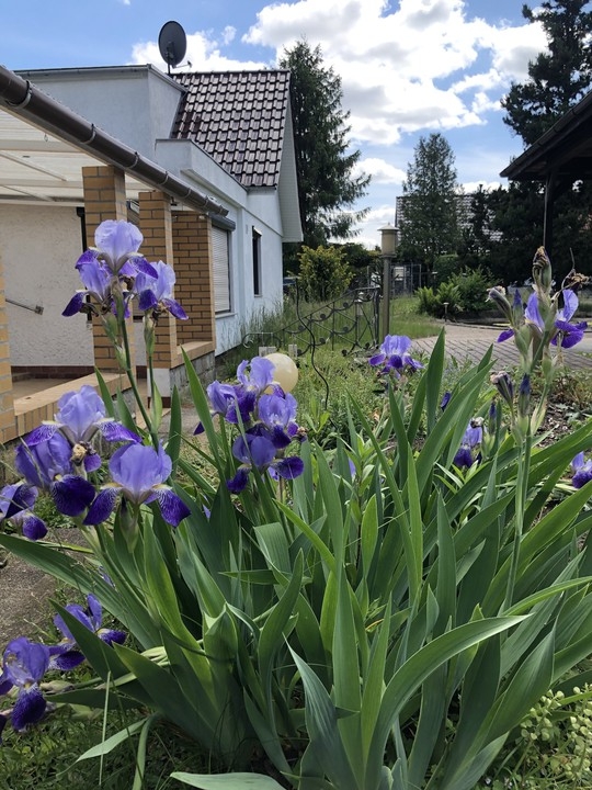 RESERVIERT | Doppelhaushälfte in idyllischer Lage am Waldrand