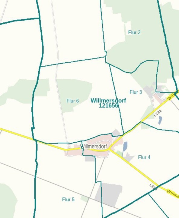 WALD | Robinien & Kiefern • befahrbar • erntereif • 6-10% Rendite